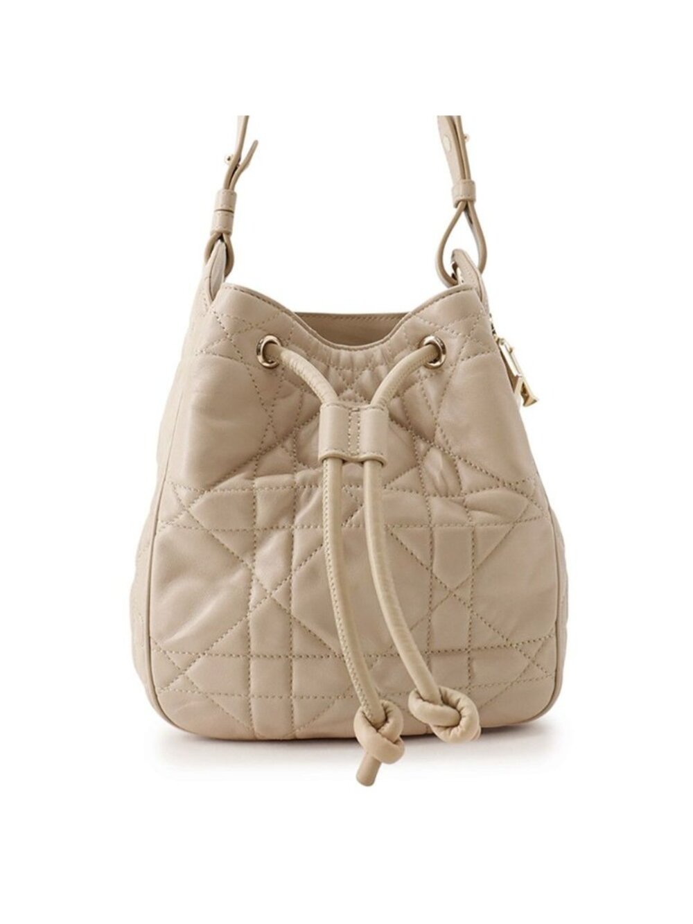 Dior Shoulder Bag Dmotion Small
